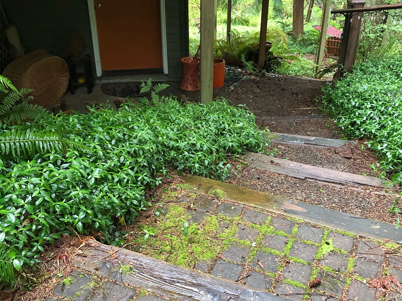 1 bed, 800 sqft, $2,000 — Photo 1