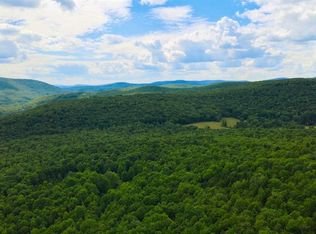 Floyd Finch Rd, Fleischmanns, NY 12430