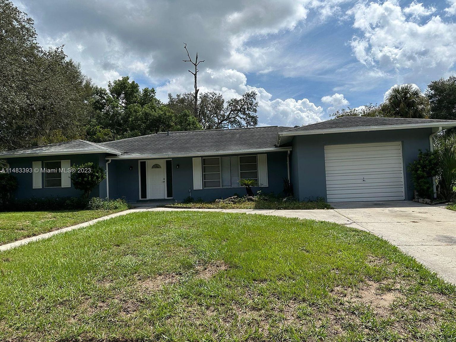 Weather citrus springs fl