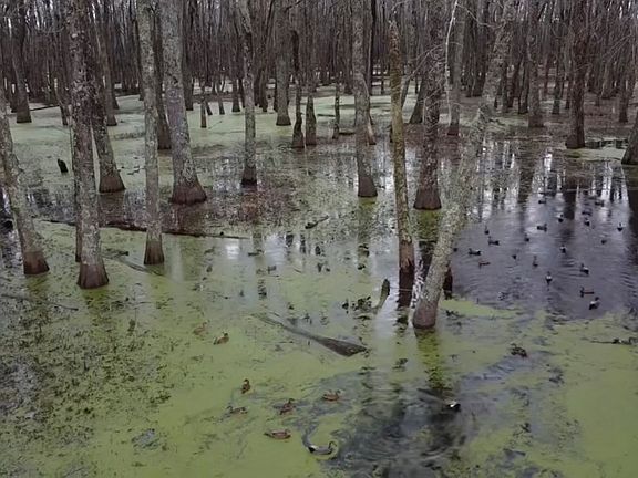 4th image of 0 County Rd #420