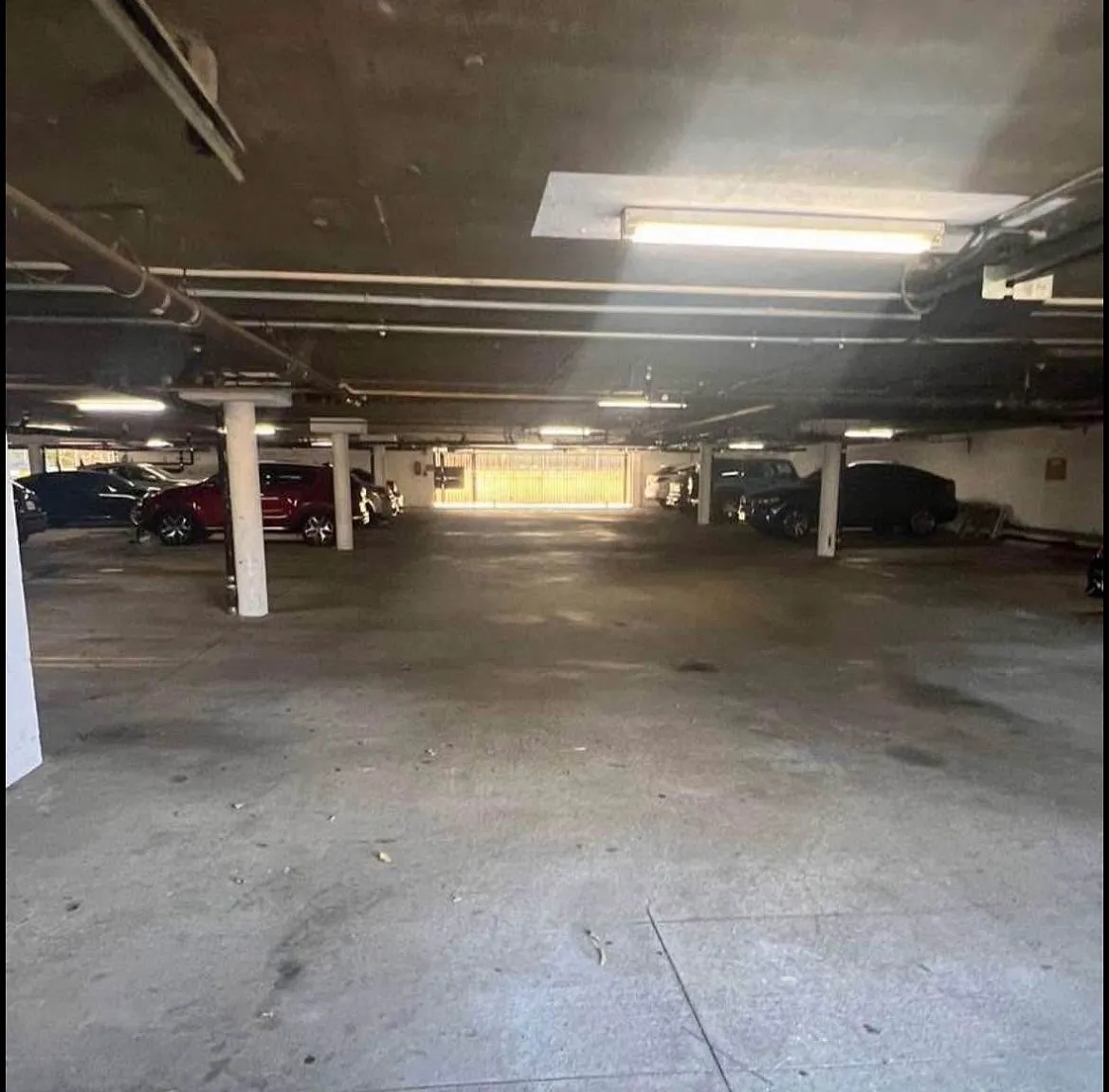 Ellis properties — Photo 4