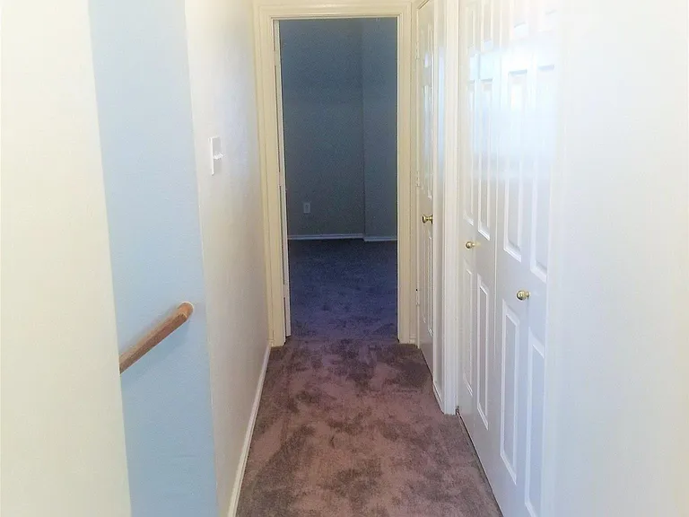 46 Wineberry Pl — Photo 19