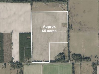 2340 SW County Road 351, Mayo, FL, 32066