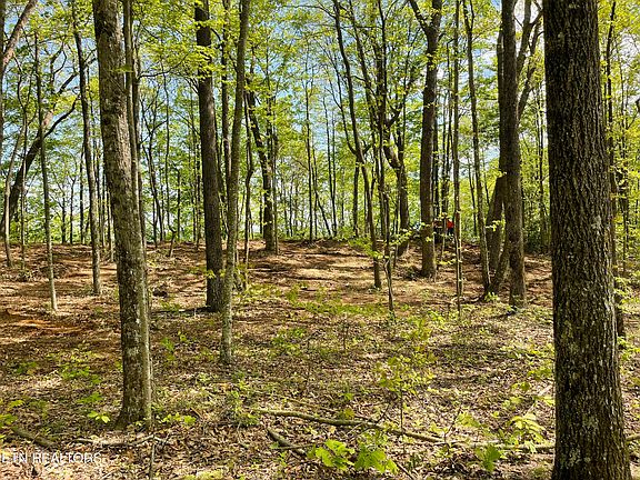 2nd image of 150 Timber Oaks Ln