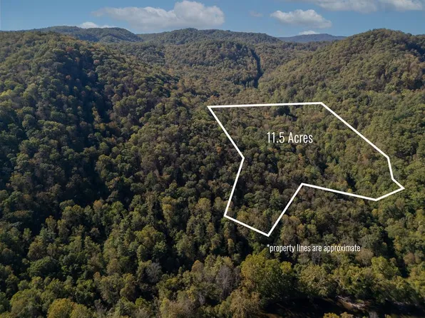 Bluestone River Rd, Jumping Branch, WV 25969