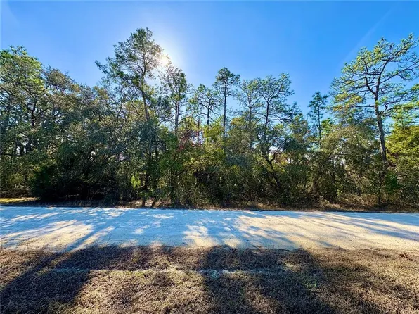 9164 Birmingham Ave Lot 12, Brooksville, FL 34613