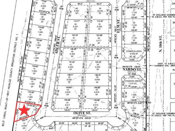 3007 N Adler Ave, Edinburg, TX 78541