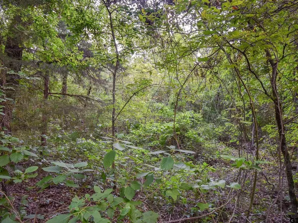 Vz County Road 1703, Grand Saline, TX 75140