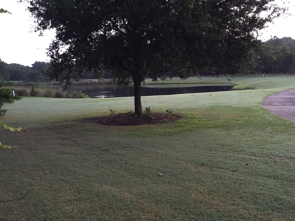 View of golf course