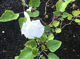 550 Spaniards Rd, Placida, FL 33946