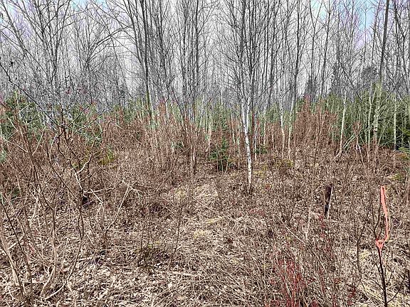 4th image of Dufferin Rd