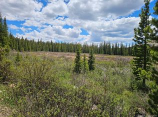 316 Gold Trl, Fairplay, CO 80440