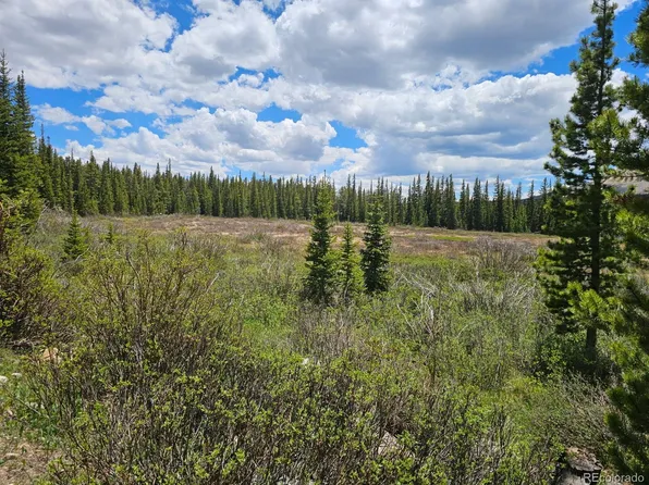 316 Gold Trail, Fairplay, CO 80440