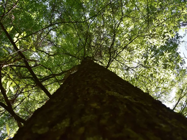 (undisclosed Address), Strong, AR 71765