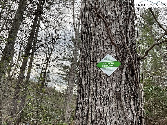 2nd image of TBD Chestnut Grove Church Road
