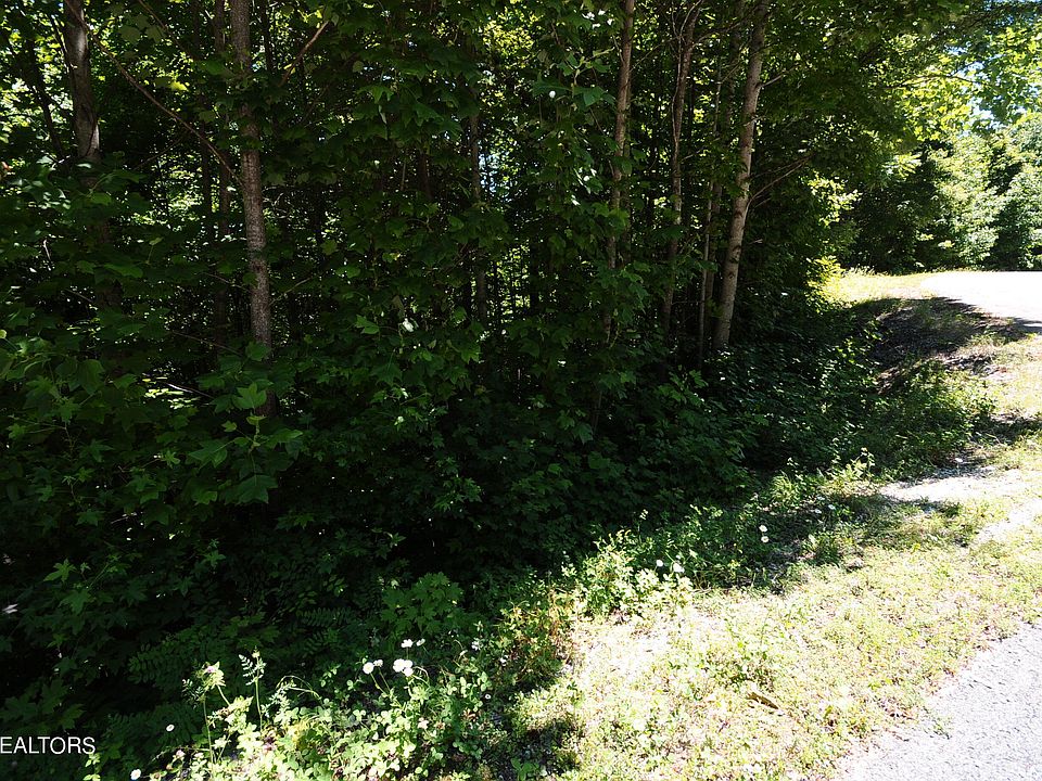 2nd image of Wolfe Run Ln