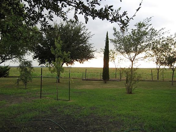 Tranquil view from backyard!