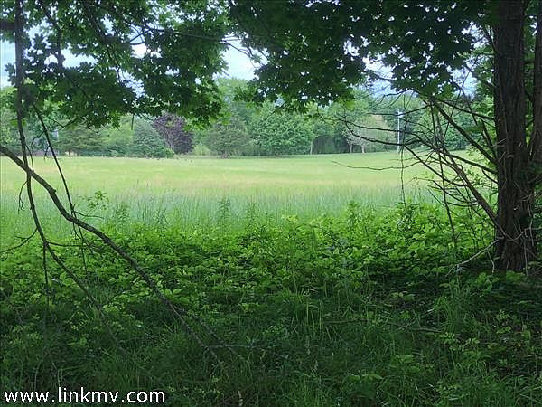 Lovely meadow Views