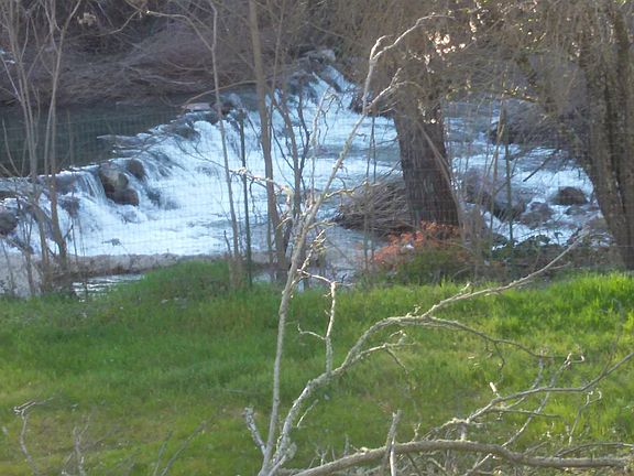 Creek in rear of propertyt