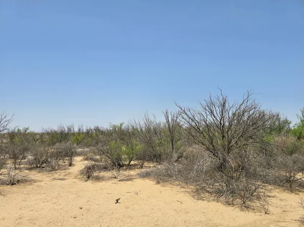 551 Spock Rd, Terlingua, TX 79852