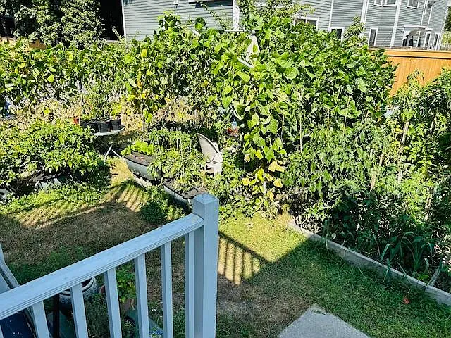 115 Auburn St #2 — Photo 12