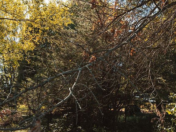 2nd image of 7A255 Tomahawk Ln