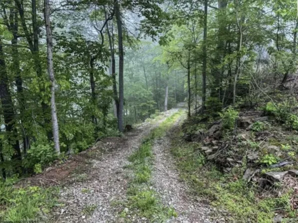 Lot 1 Shortline HWY, Porters Falls, WV 26162