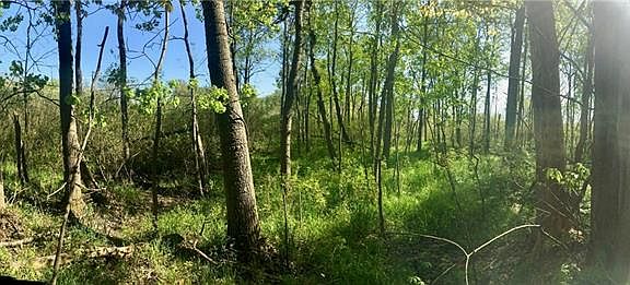 4th image of Crane Road
