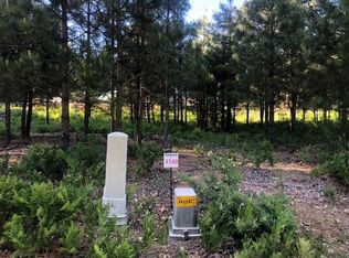 41 Panther Meadow Dr, McCloud, CA 96057