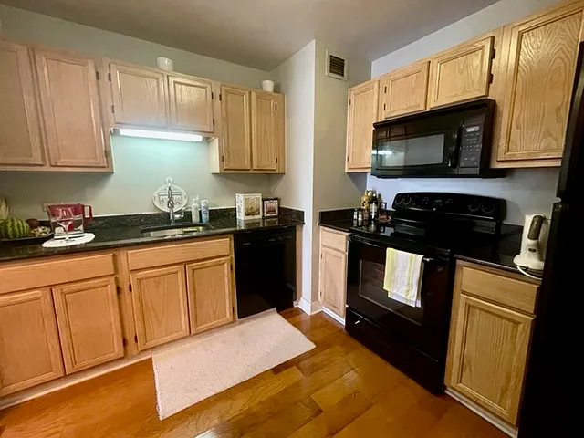 200 N Dearborn St #3005 — Photo 6
