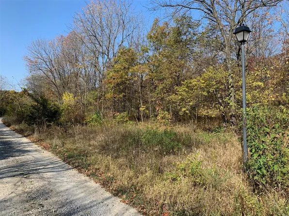30 Mitch Ln, Silex, MO 63377