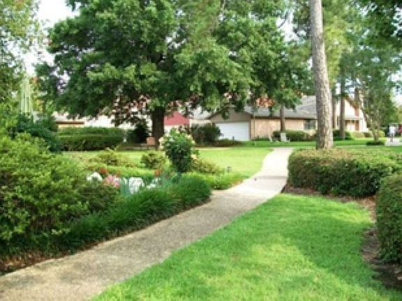 Beautiful Walking Paths