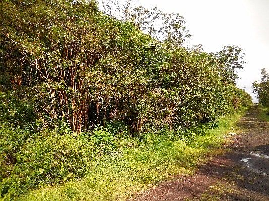1st image of Road 9 Koloa Maoli Lot 5537