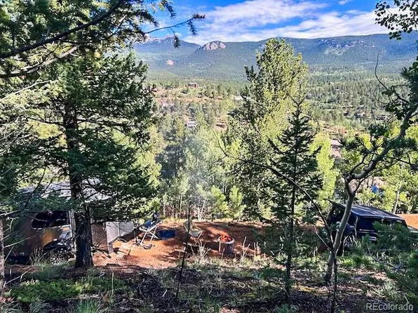272 Wise Road, Bailey, CO 80421