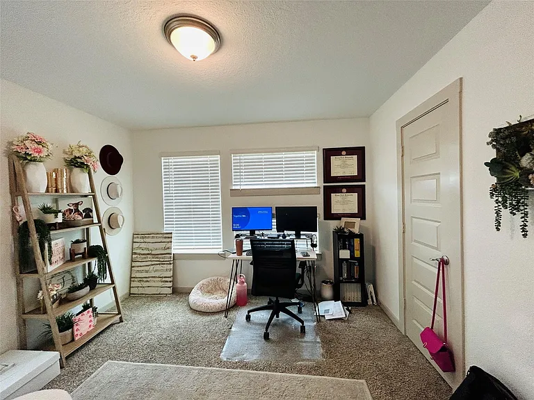 29403 Georgia Throw Ln — Photo 8