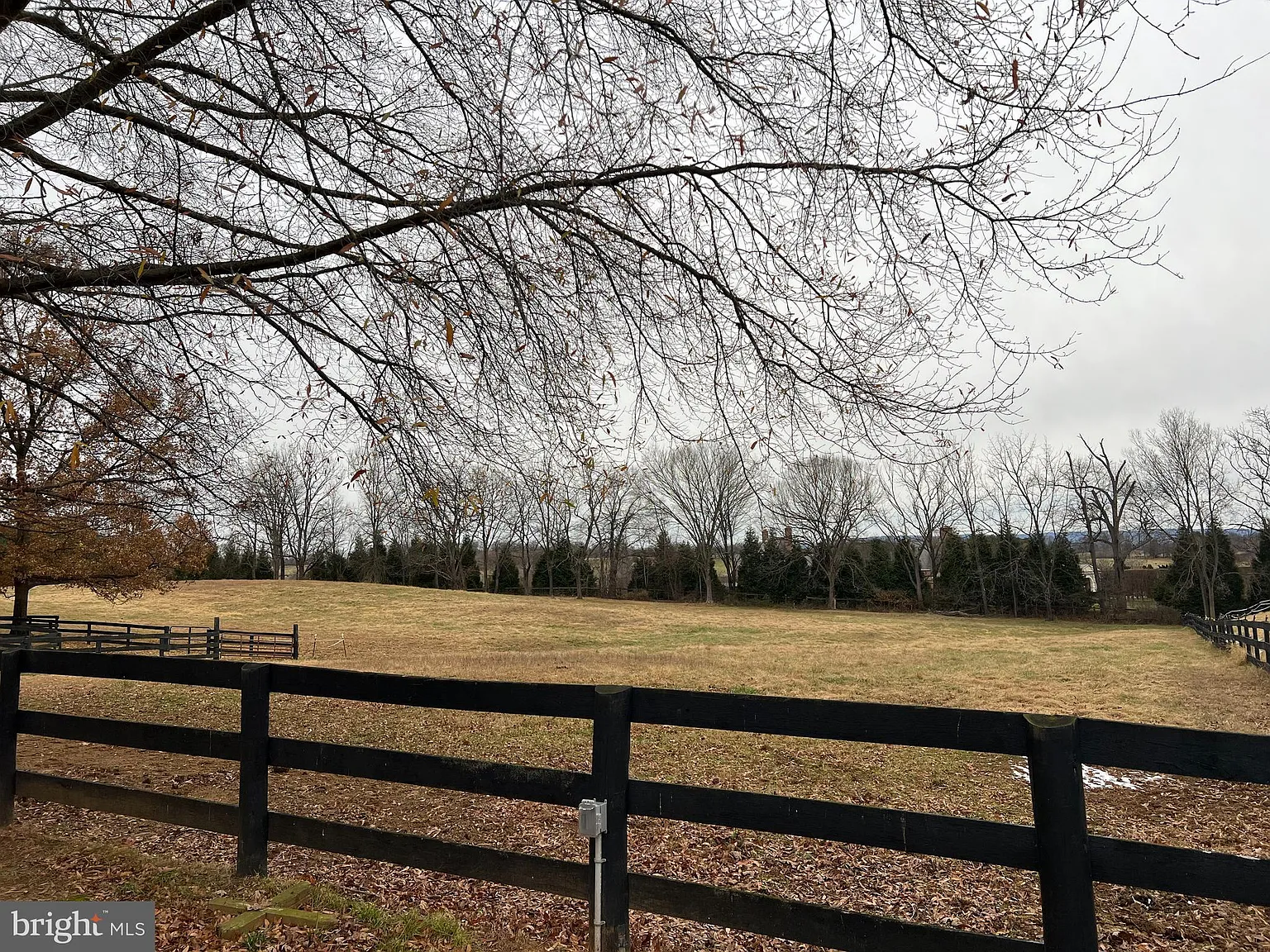 Studio, 5902 sqft, $3,000 — Photo 4