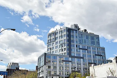 Rented by Bold New York