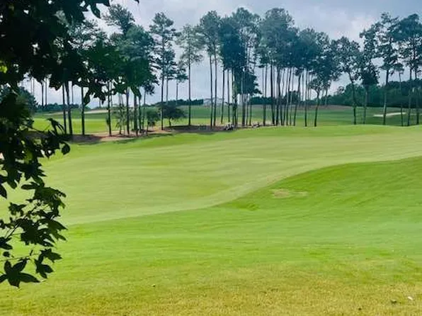 124 Hawks Ct, Ball Ground, GA 30107