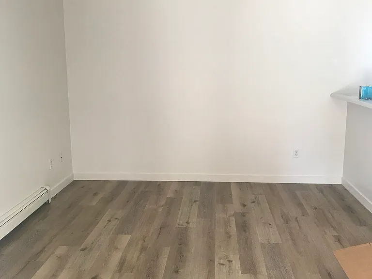 1159 E Carolina Ave #1 — Photo 5