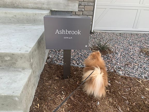 model name, dog is not included -;)
