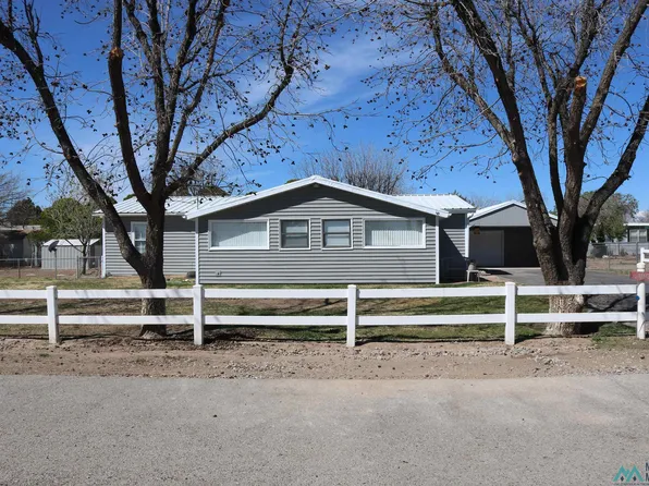 180 Dell Dr NE, Deming, NM 88030