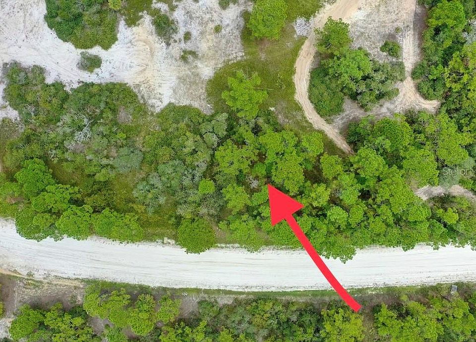 1st image of WILDWOOD DRIVE