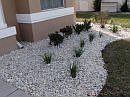 drought friendly landscaping
