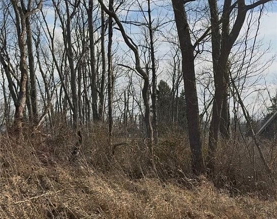 3rd image of 0 Charles St