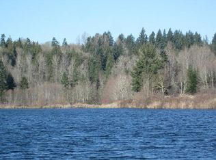 295 Collins Rd, Toledo, WA 98591