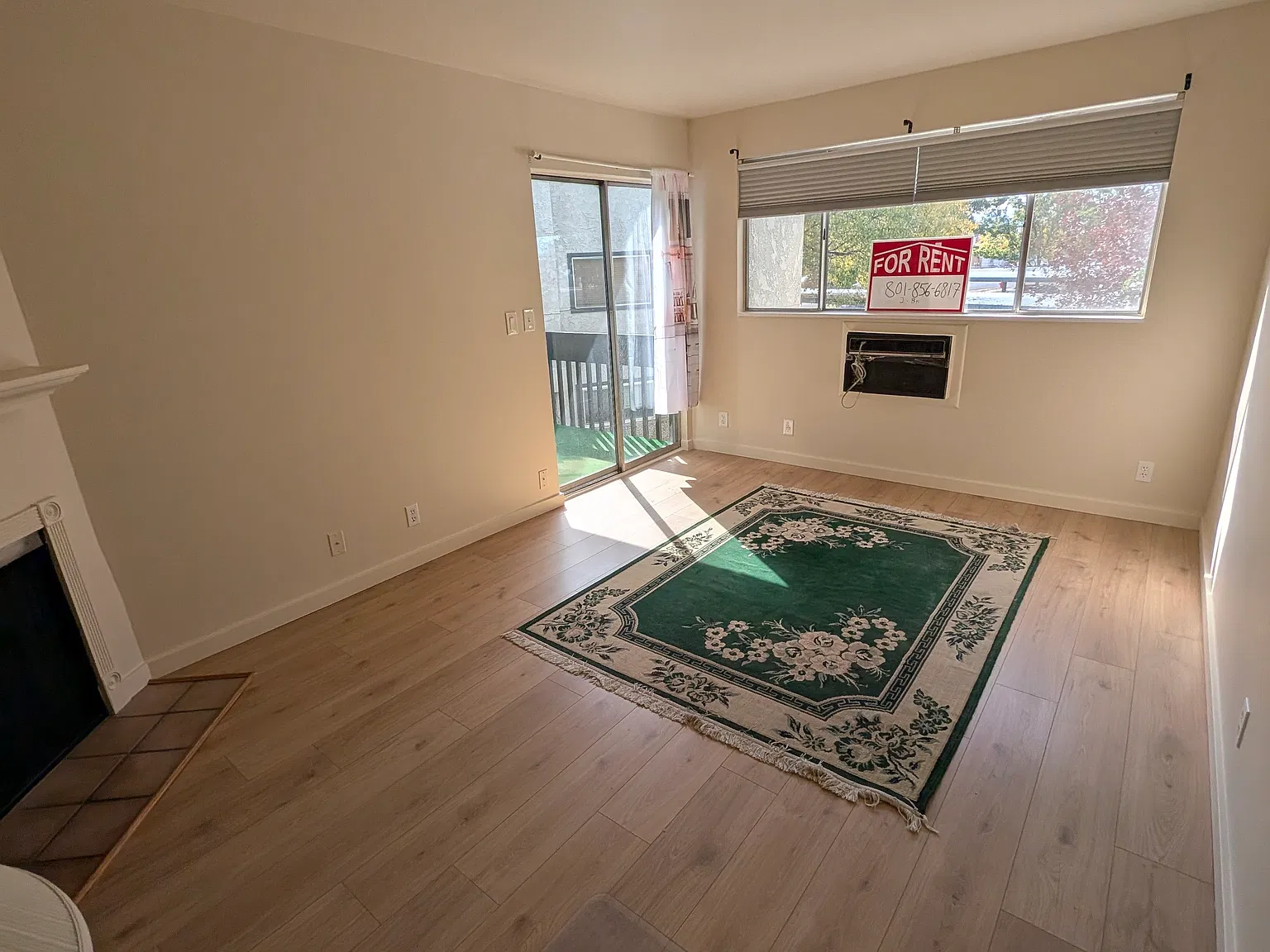 2 bed, 1100 sqft, $1,650 — Photo 3