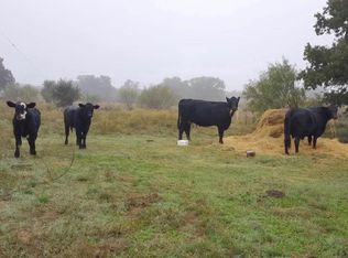 1856 County Road 330 LOT 1, Eastland, TX 76448