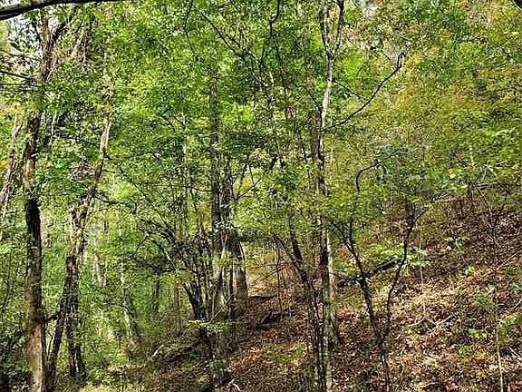 3rd image of 0 Shell Mountain Rd Lot 42