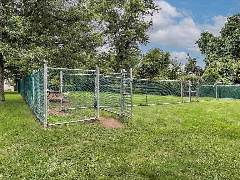 Dog Park
