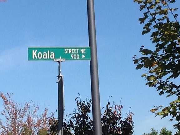 5th image of 902 Koala St